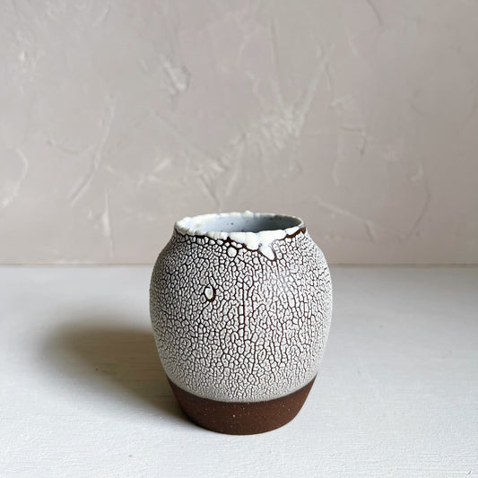 Lichen Vase