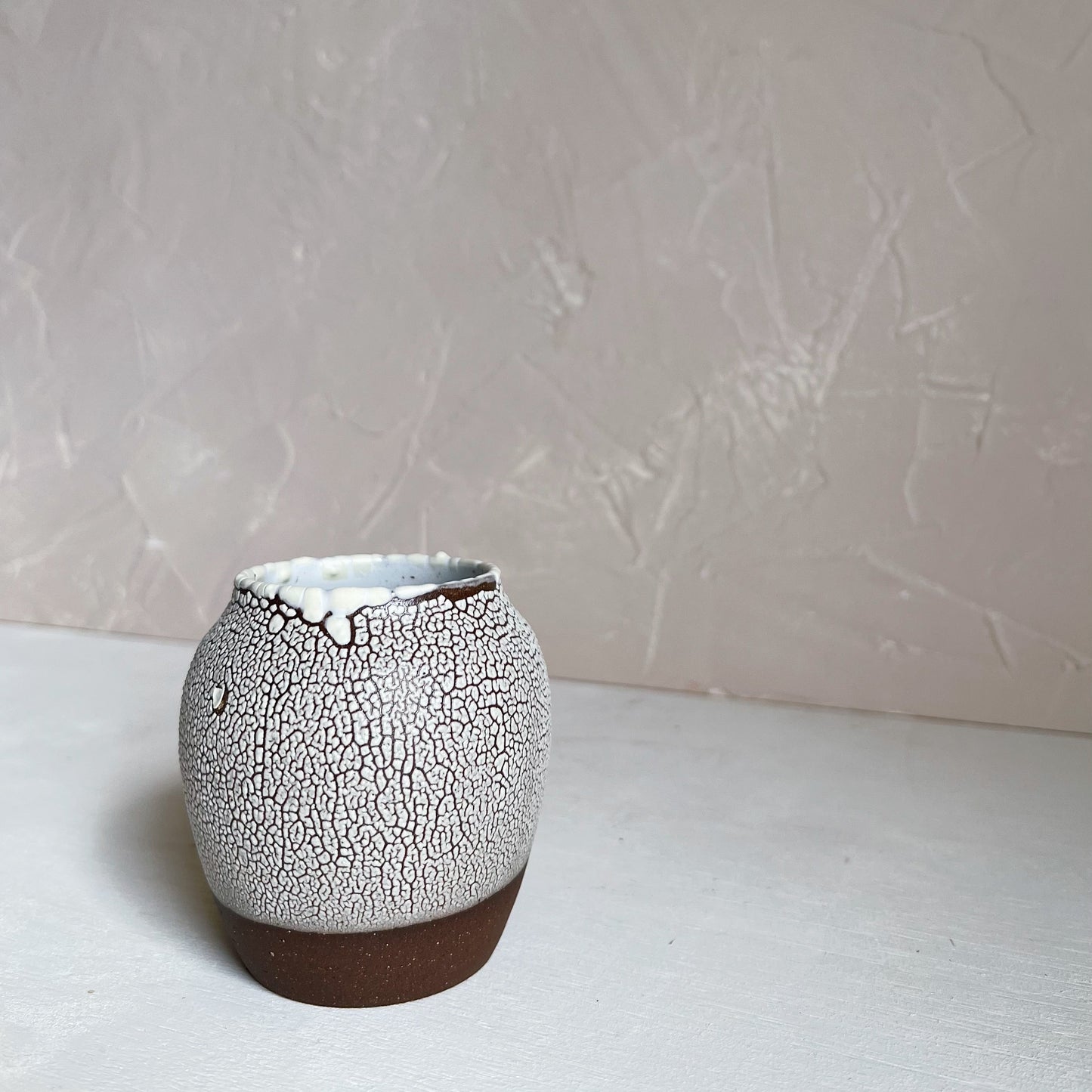 Lichen Vase
