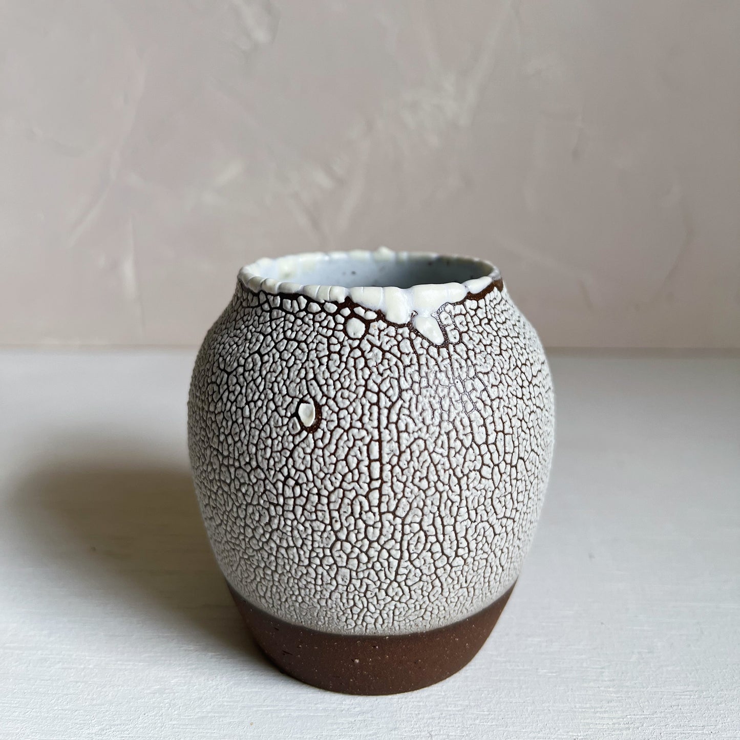 Lichen Vase